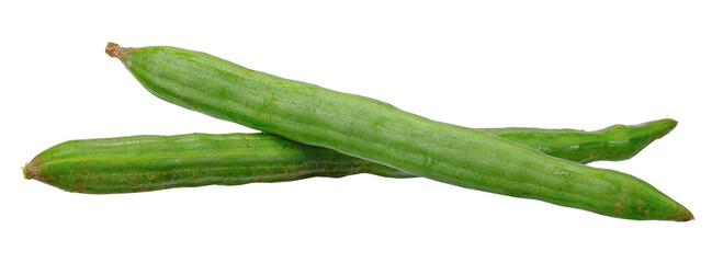 Fresh long green Moringa isolated on transparent background, PNG image