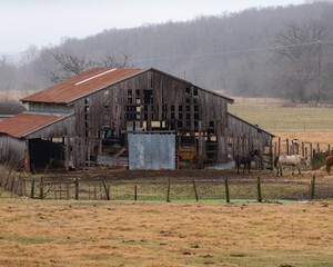 Old Barn in Rural Arkansas