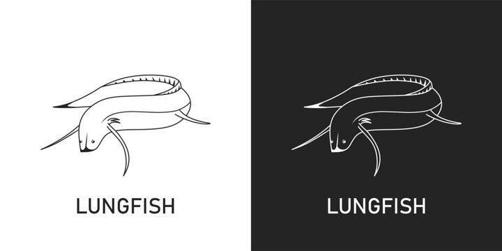 black and white lungfish flat icon. animal, fish, fishing, lungfish, african lungfish, eel, sea, food, seafood, freshwater, restaurant, marine, clipart, sticker, logo, simple, vector illustration
