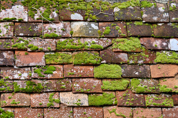 Close up of old terracotta roof tiles broken and covered with moss
