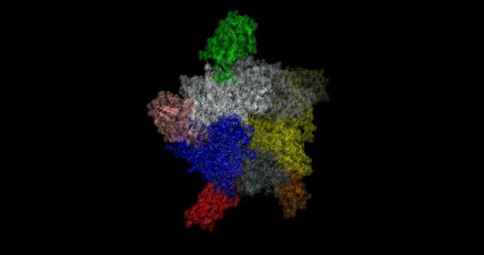 alpha-cobratoxin bound to AChBP 3D molecule 4K spinning