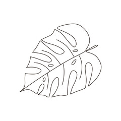 Hand draw tropical leaf