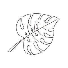 Hand draw tropical leaf