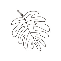 Hand draw tropical leaf