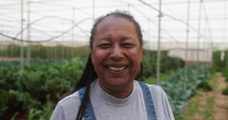 African senior woman smiling on camera inside farm greenhouse - Local food product and sustainable work concept