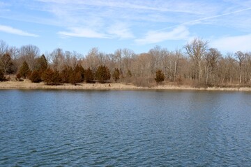 The country lake on a sunny winter day.