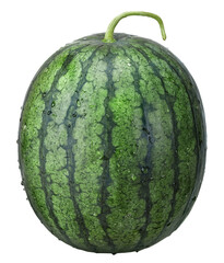 Fresh watermelon with water drop isolated on transparent background, PNG image