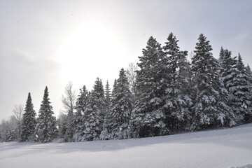 A winter sun, Sainte-Apolline, Québec, Canada