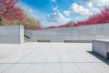 City sidewalk and pink plum flower background