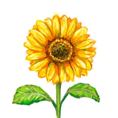 Sun Flower - Flower painting art