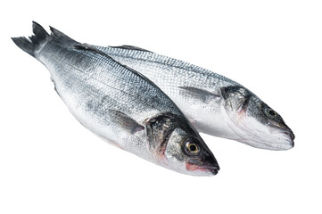 Fresh raw seabass fish on kitchen table. Isolated, transparent background.