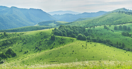 Fototapeta na wymiar View of a summer day in the mountains, green meadows, mountain slopes and hills, countryside