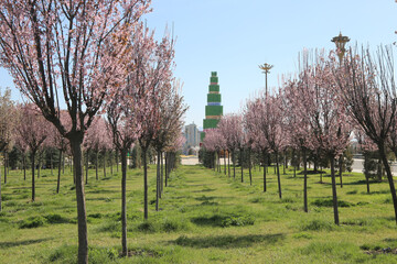 Nowruz holiday: monument Wheat sprouts in Dushanbe Tajikistan