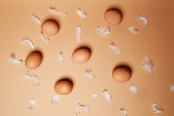 Chicken eggs lie on a gentle nude background, chicken feathers. Boiled or fresh eggs.