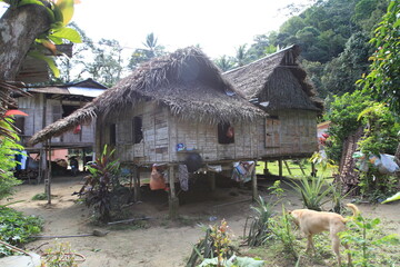 traditional native hande made house 