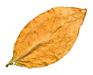 dry leaf