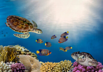 underwater coral reef landscape with colorful fish