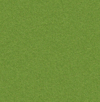 Green grass texture can be used as background.