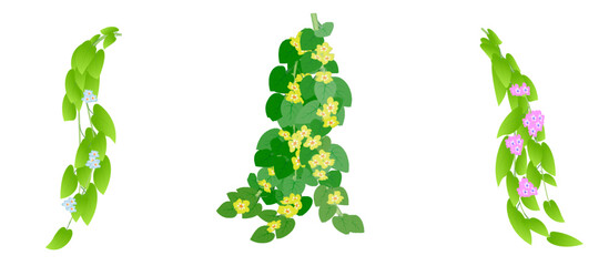 Set of branches with flowers for design elements. Vector illustration isolated on white background.