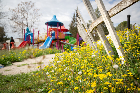Colorful plastic playground with play stations where children can do physical activities in the renewed nature. Yellow flowers in selective focus.