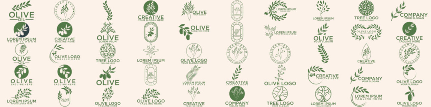 set of green olive oil logo for modern female beauty