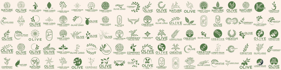 Fototapeta premium set of green olive oil logo for modern female beauty
