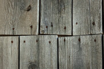 Grunge dark wood background with rusty nails