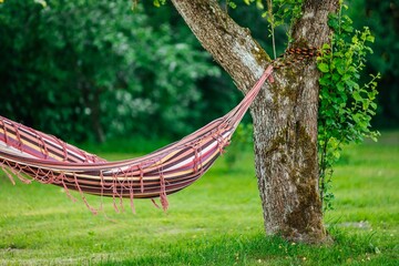 Colorful hammock hanging in the garden between the trees