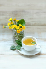 Fresh coltsfoot flowers and cup with herbal tea on white rustic wooden table. Healing infusion with medicinal plant Coltsfoot (Tussilago farfara), spring seasonal flowers 