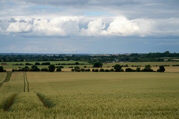 Fototapeta na wymiar Beautiful landscape of the farmlands in the Hertfordshire countryside