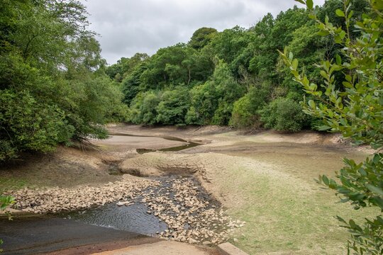 Drought affecting on an almost dry river due to climate change In England with trees around