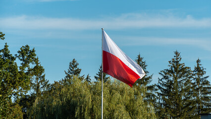 Polish flag waving on the mast - obrazy, fototapety, plakaty