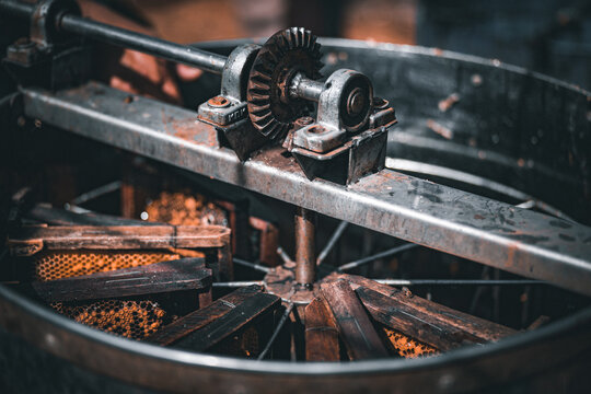 รูปภาพDaklak เลือกดูภาพถ่ายสต็อก เวกเตอร์ และวิดีโอ284 Adobe Stock