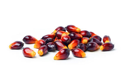 Palm oil nuts isolate on white background. Clipping path.
