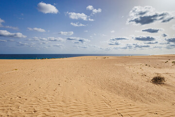 Fototapeta na wymiar Sand dunes in the Parque Natural de Corralejo on the island of Fuerteventura
