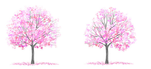 watercolor blooming Sakura tree side view isolated on white background for landscape and architecture drawing, elements for environment and garden,botanical elements for section in spring