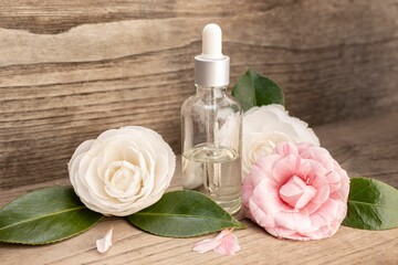Camellia essential oil bottle and camellia flowers on rustic wooden table