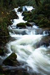 River flowing through the forest in Galicia, Spain