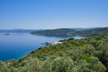 olive grove with sea view, wonderful Greek summer landscape, Mount Pelion, Greece