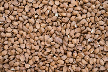 Close-up of healthy almonds on wooden table.