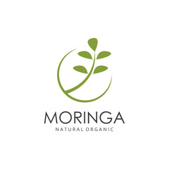 Green Natural Moringa Leaf Logo Template Isolated on White Background.