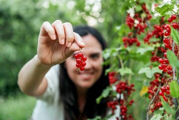 Selective focus shot of a Woman holding cluster of redcurrant in garden