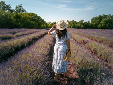 Rear view of a woman in a sundress and hat standing in middle of a lavender field