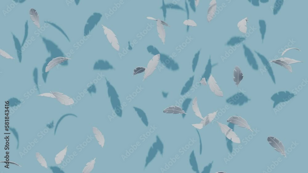 Poster white soft feathers flying. minimal modern motion design. abstract animation