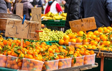 Oranges and other fruits at the market.