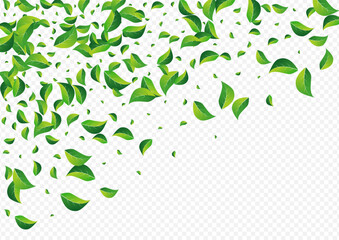 Swamp Greens Falling Vector Transparent