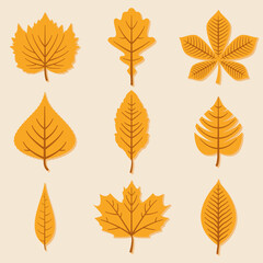 Set of autumn leaves on white background.