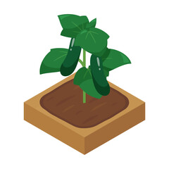 農場ゲームのイラスト_きゅうり_アイソメトリック