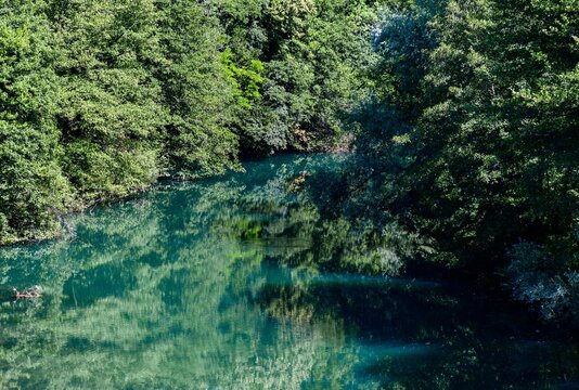 Calm river surrounded with lush greenery and forest reflecting on water surface