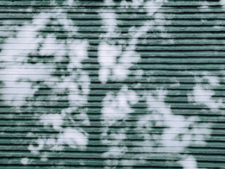 Tree Shadow on Textured Wall